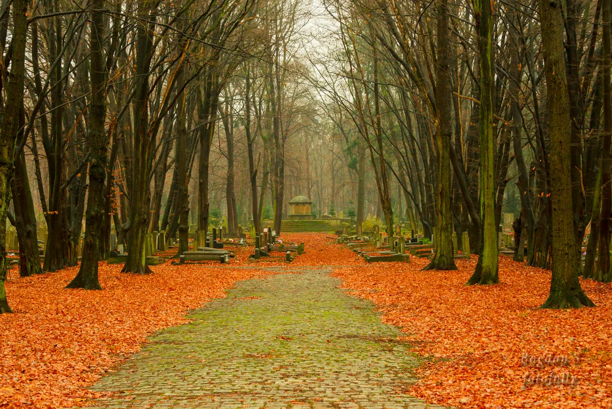 Cementerio judío de Wrocław — foto 8
