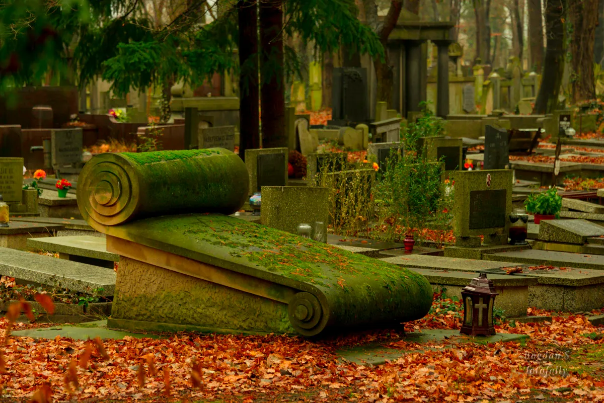 Cementerio judío de Wrocław — foto 10