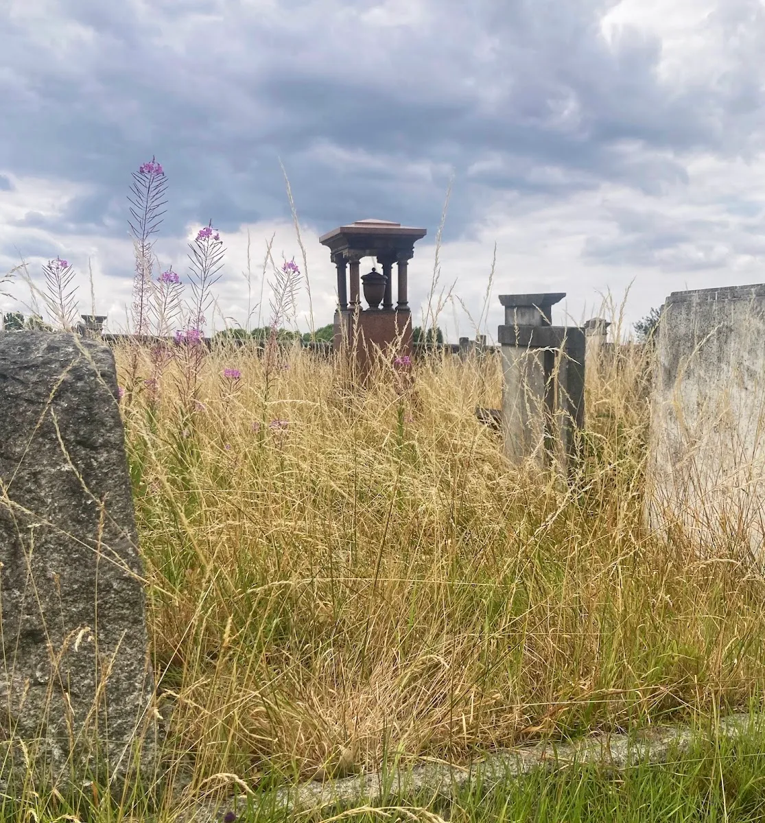 Cementerio Judío Liberal de Willesden — foto 6