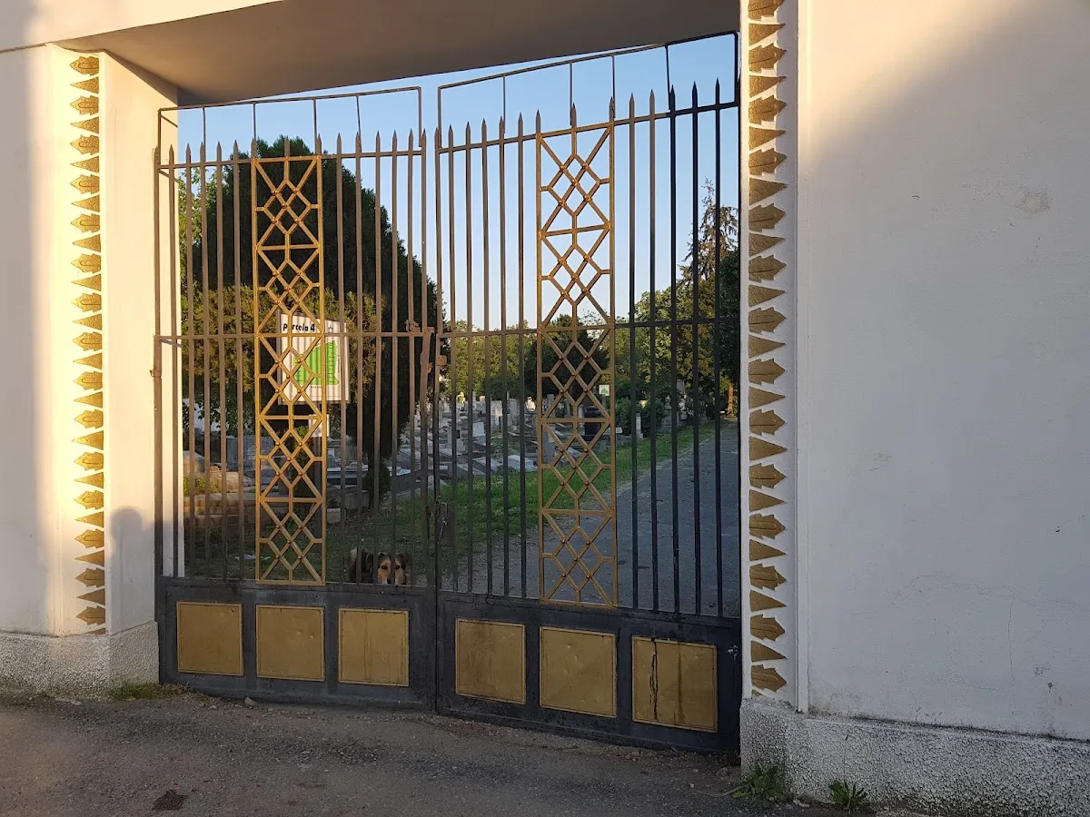 Cementerio judío neólogo antiguo de Arad — photo 2