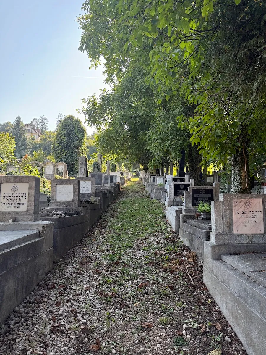 Cementerio judío neólogo de Brașov — foto 9