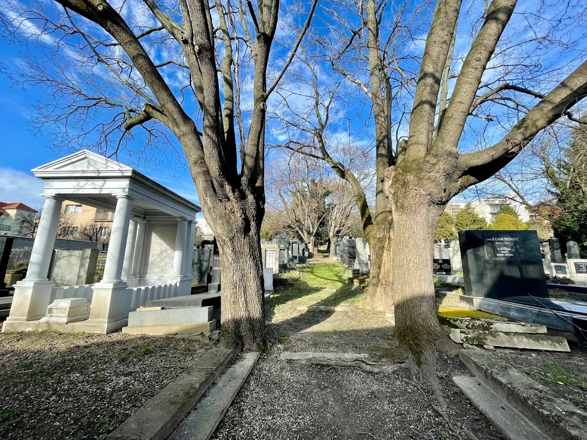 Cementerio Judío Neólogo de Bratislava — photo 3