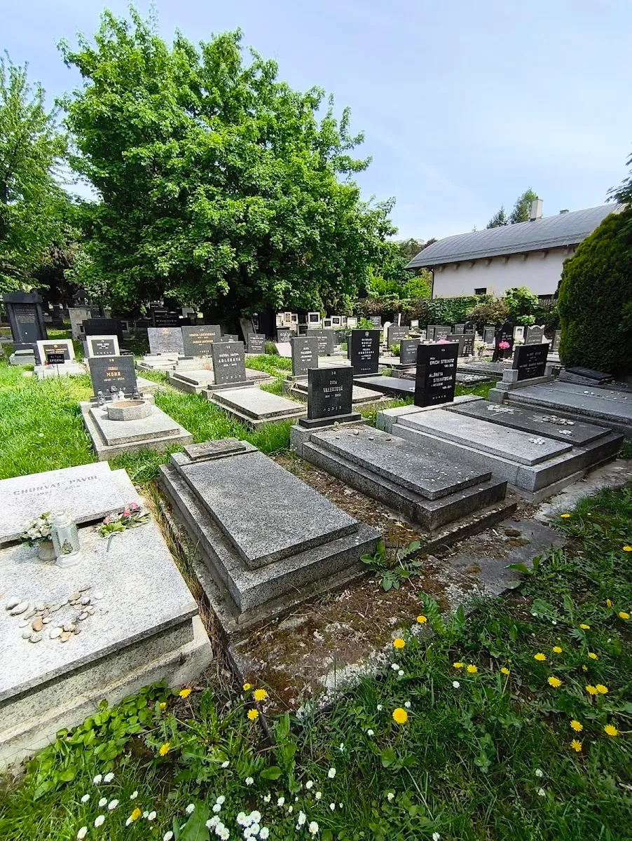 Cementerio Judío Neólogo de Bratislava — photo 4