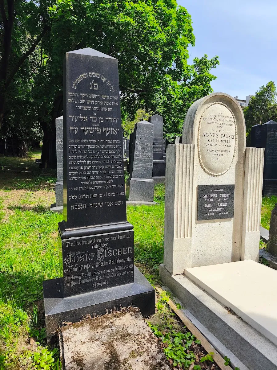Cementerio Judío Neólogo de Bratislava — photo 6