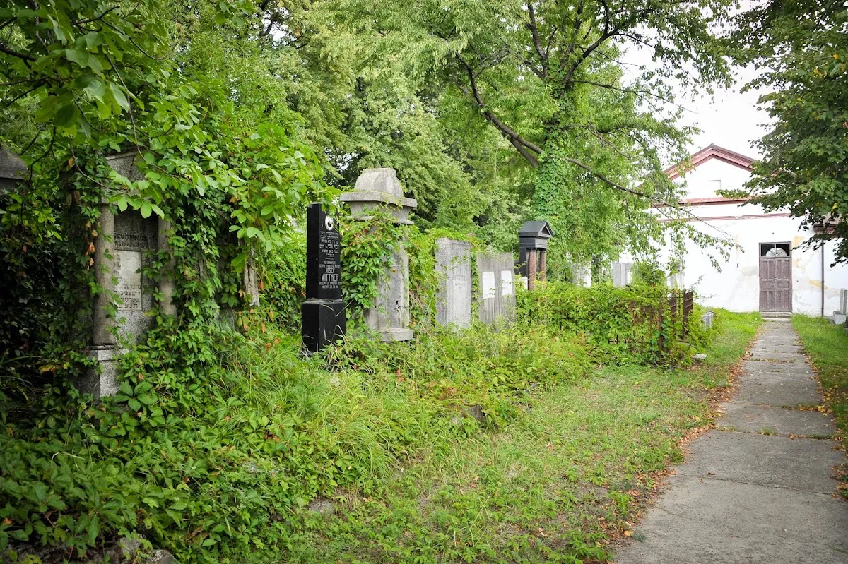 Cementerio judío nuevo de Dorohoi — foto 5