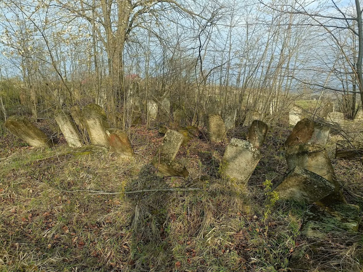 Cementerio judío nuevo de Dorohoi — foto 6