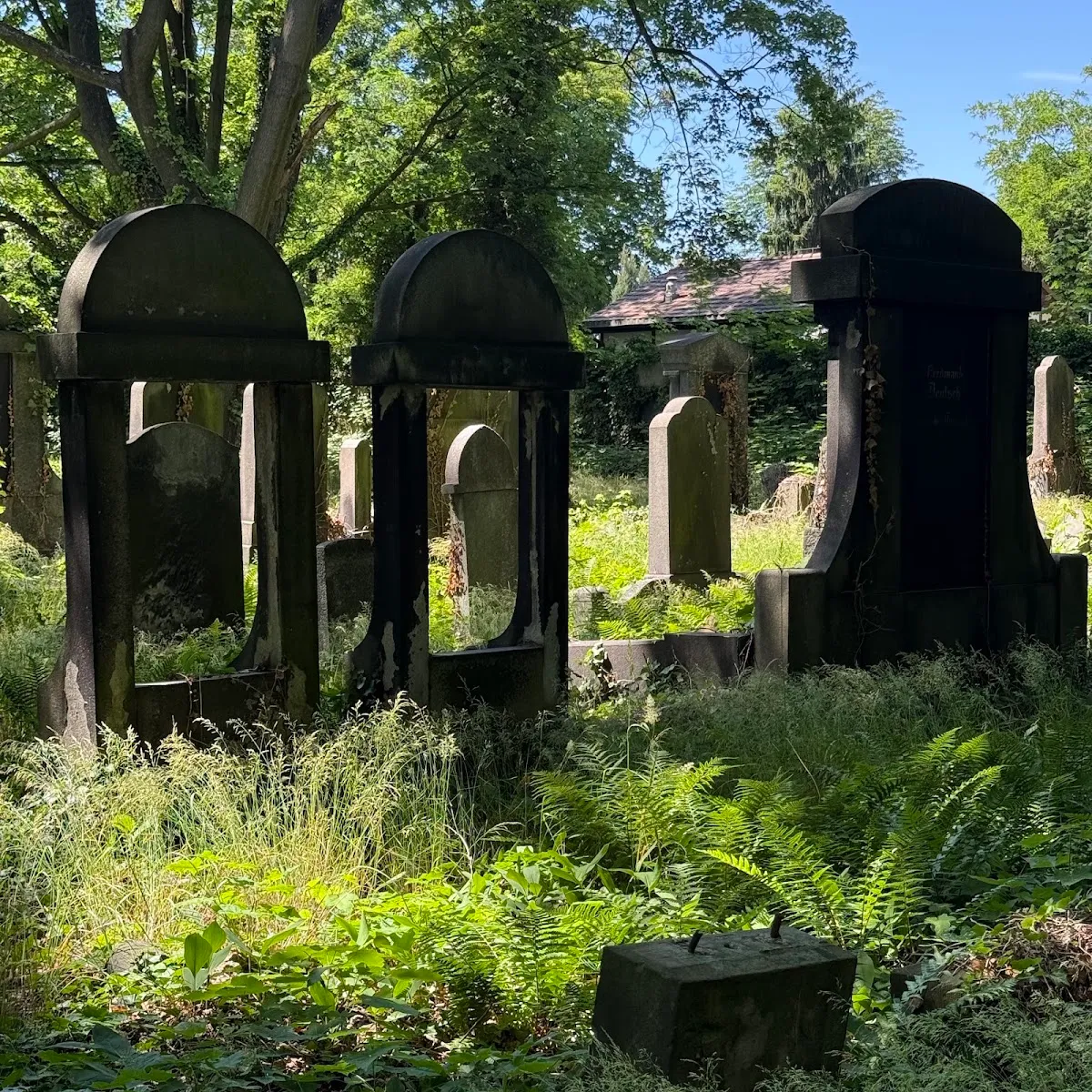 Cementerio judío nuevo de Gliwice — photo 6