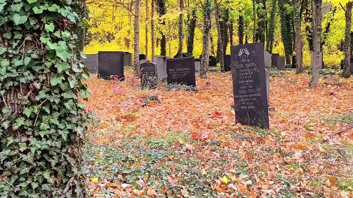 Cementerio judío nuevo de Gliwice — photo 7