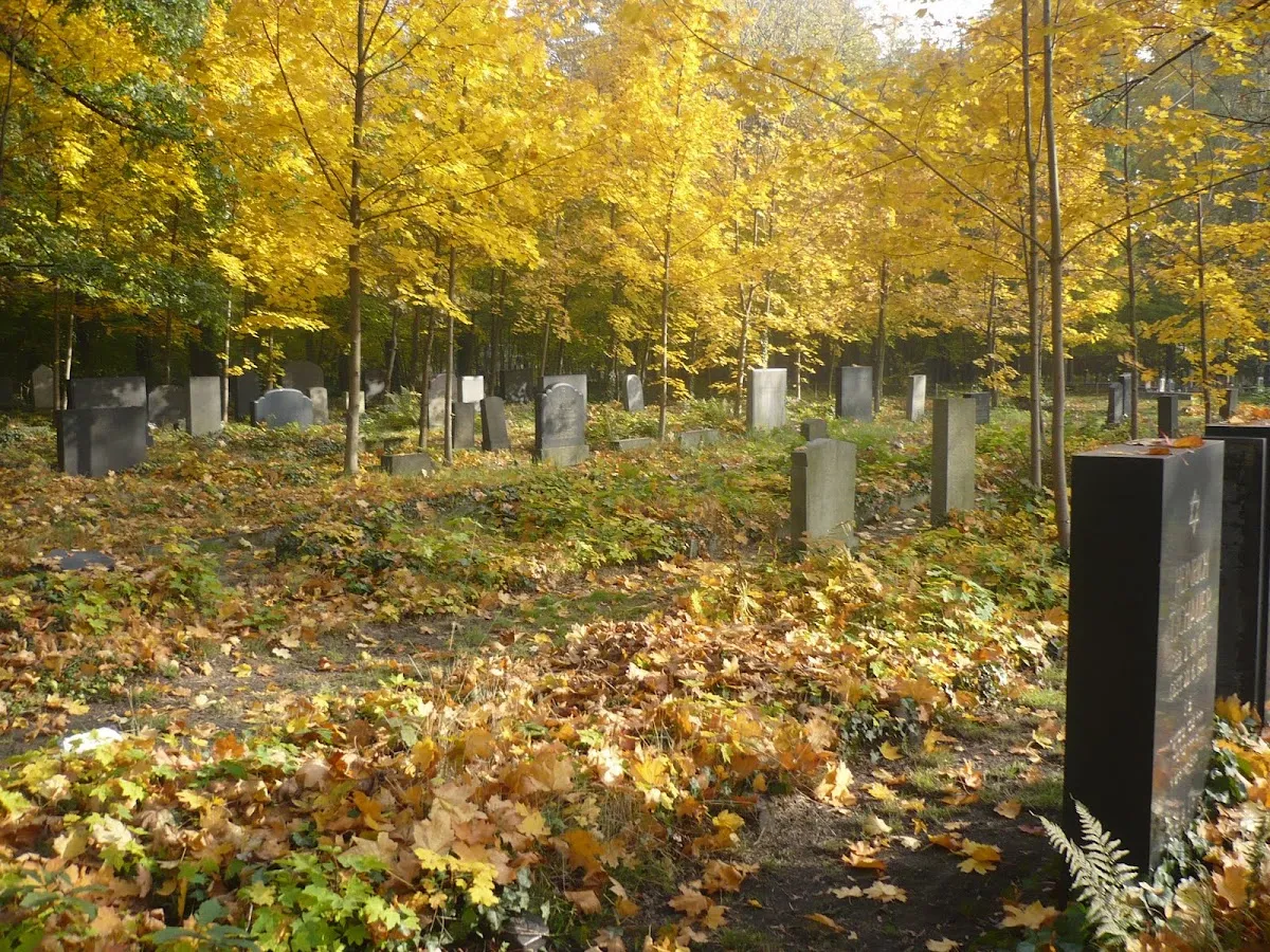 Cementerio judío nuevo de Gliwice — photo 10