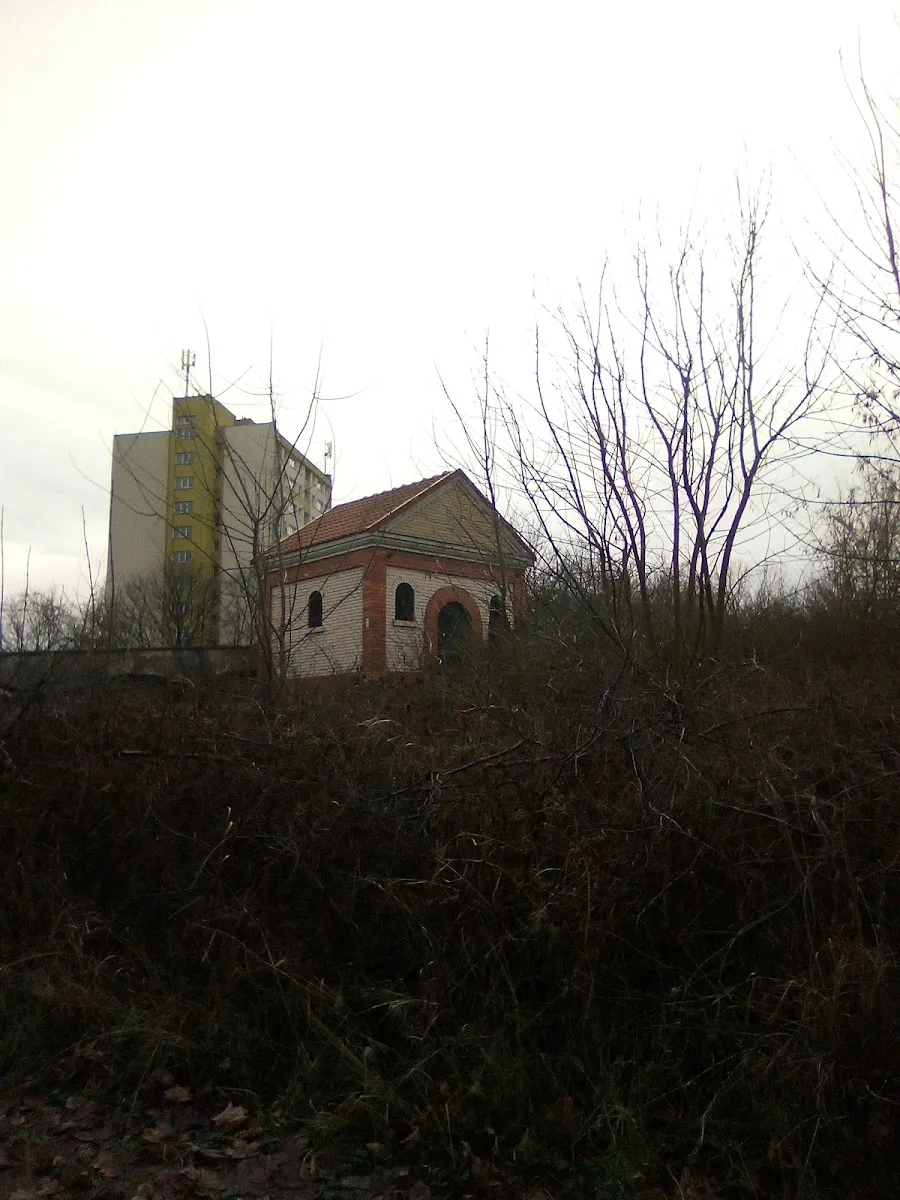 Cementerio judío nuevo de Lublin — photo 7