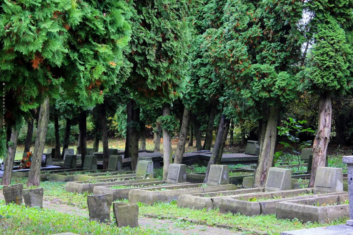 Cementerio judío nuevo de Lublin — photo 9