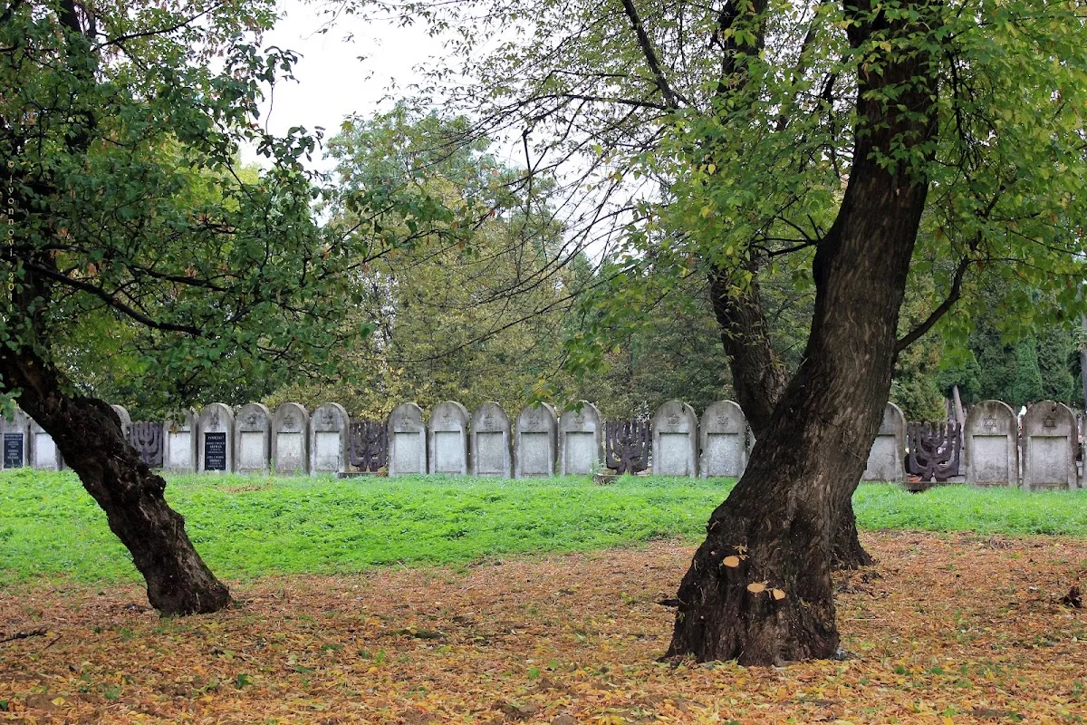 Cementerio judío nuevo de Lublin — photo 10