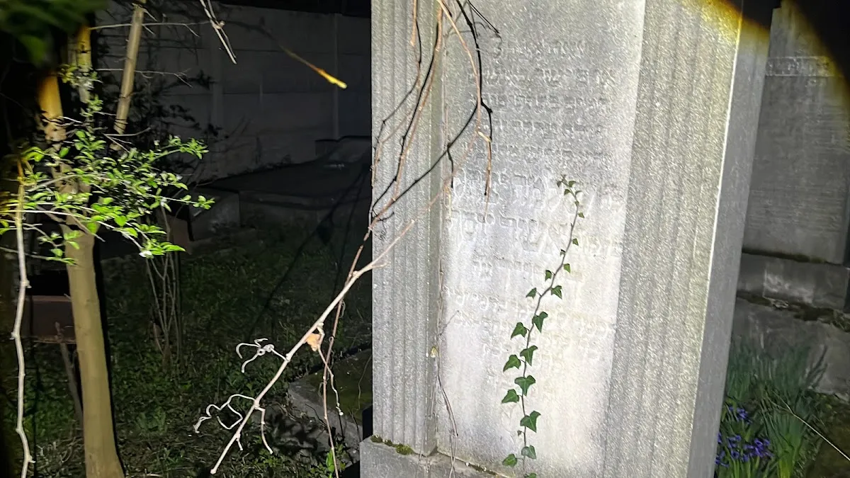 Cementerio judío ortodoxo de Arad — photo 6