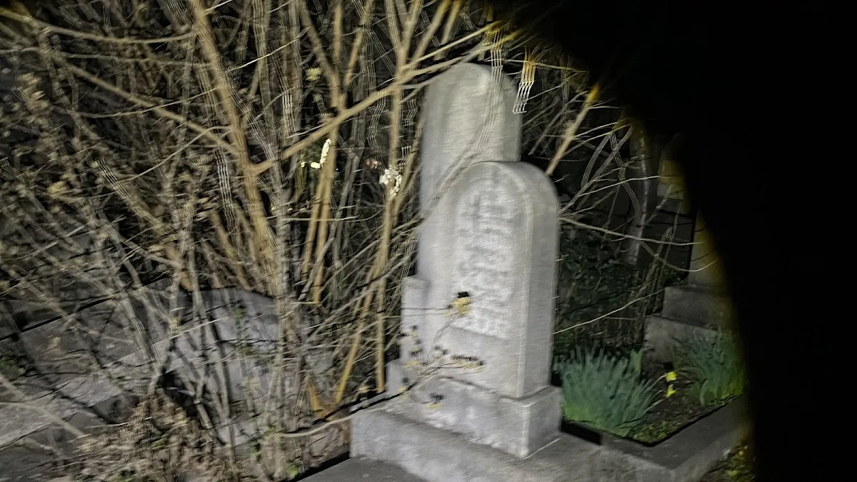Cementerio judío ortodoxo de Arad — photo 7