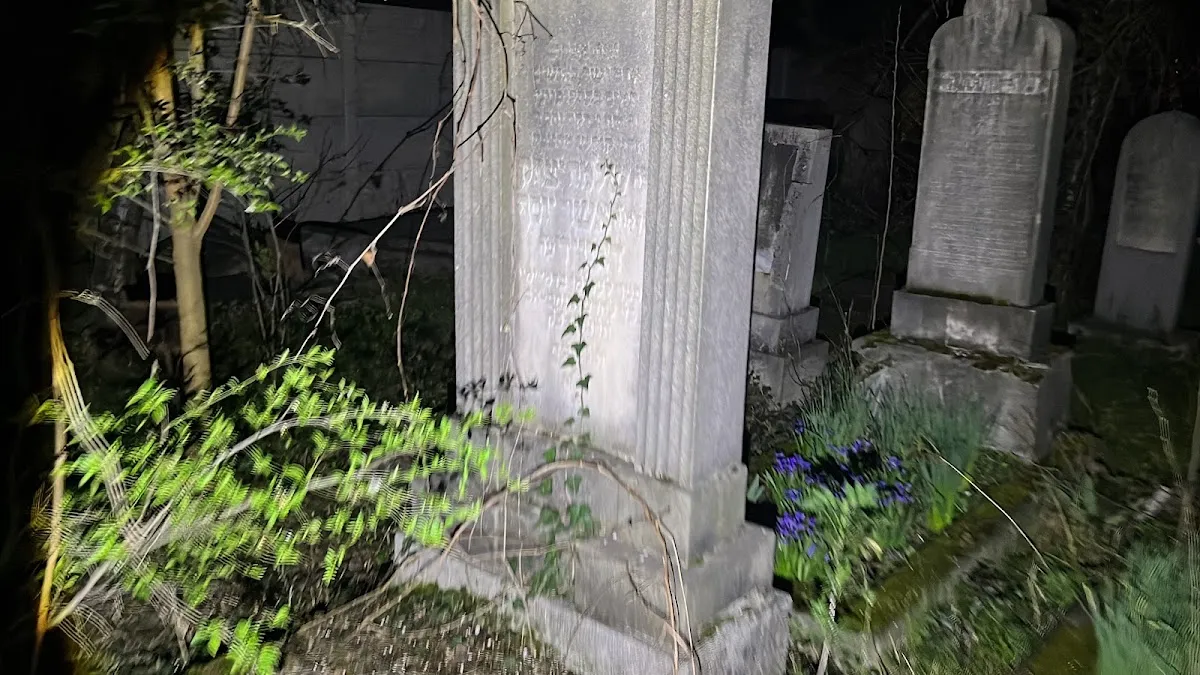Cementerio judío ortodoxo de Arad — photo 8