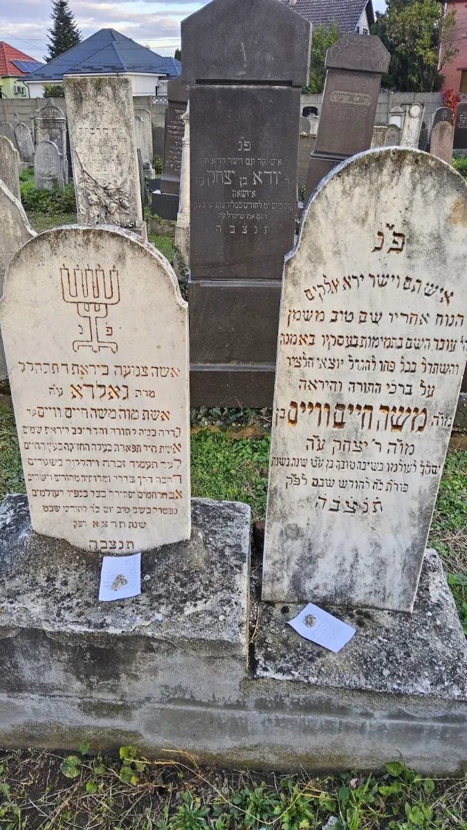 Cementerio judío ortodoxo de Satu Mare — foto 5
