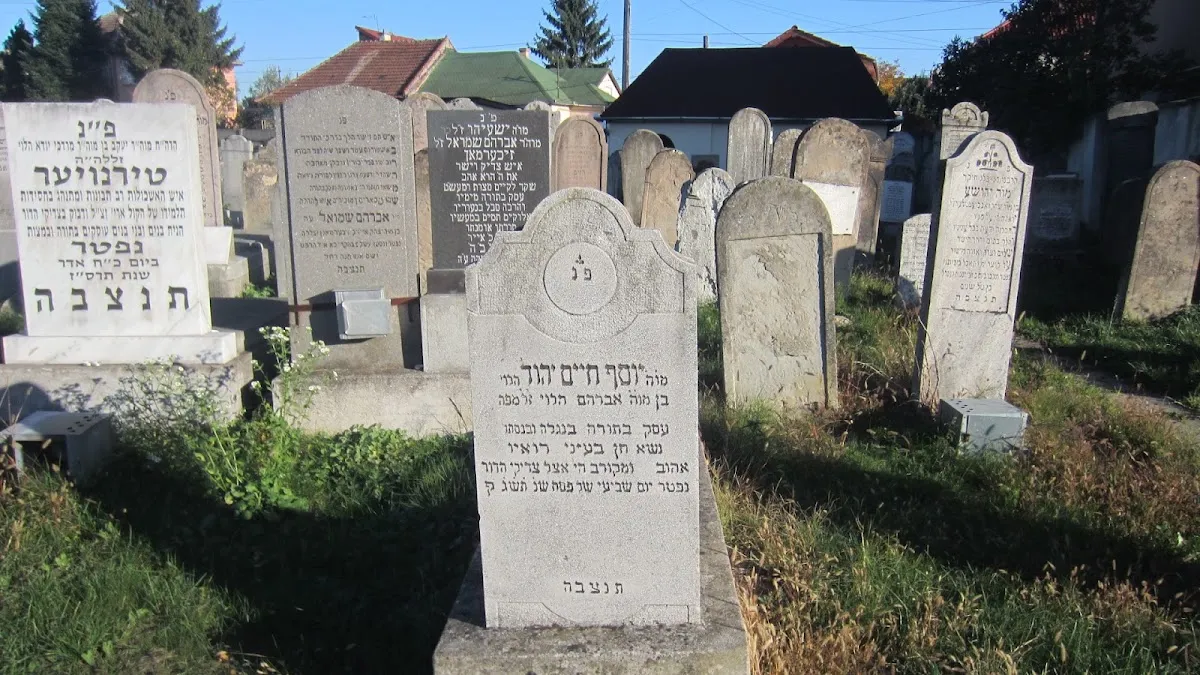 Cementerio judío ortodoxo de Satu Mare — foto 6