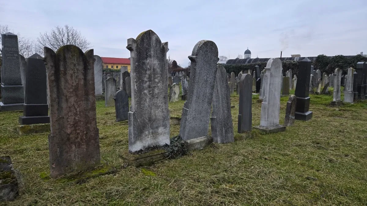 Cementerio judío ortodoxo de Satu Mare — foto 9