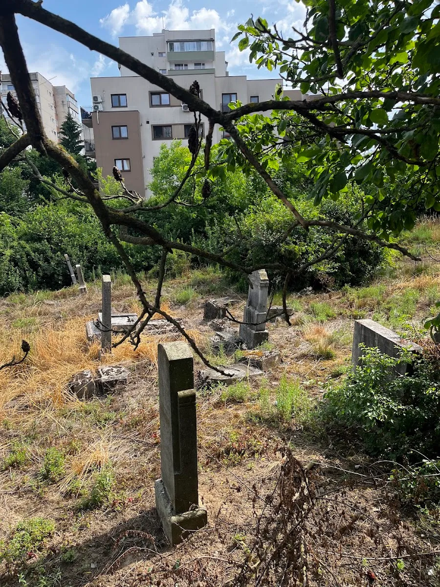 Cementerio judío ortodoxo de Târgu Mureș — photo 2