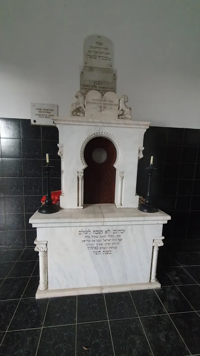 Cementerio judío Status Quo Ante de Târgu Mureș — foto 4