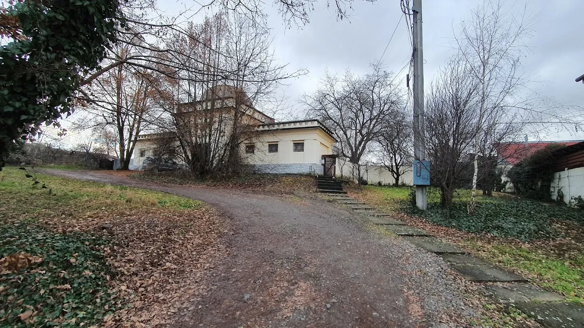Cementerio judío Status Quo Ante de Târgu Mureș — foto 5