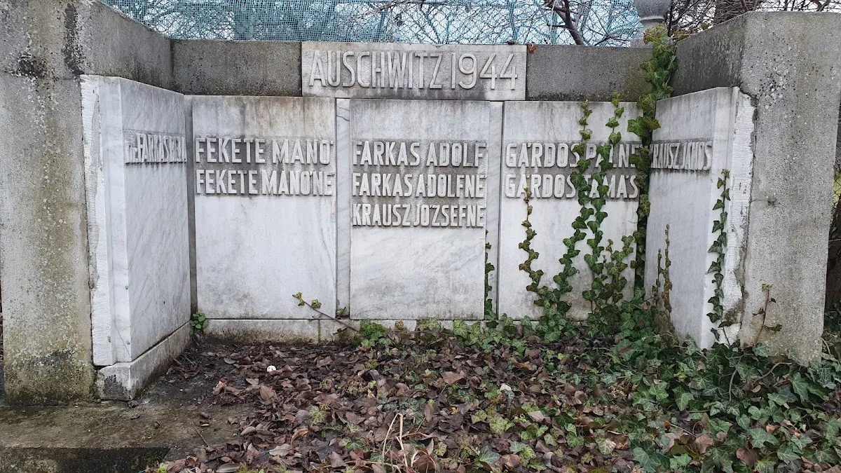 Cementerio judío Status Quo Ante de Târgu Mureș — foto 6