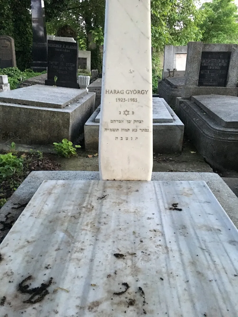 Cementerio judío Status Quo Ante de Târgu Mureș — foto 7
