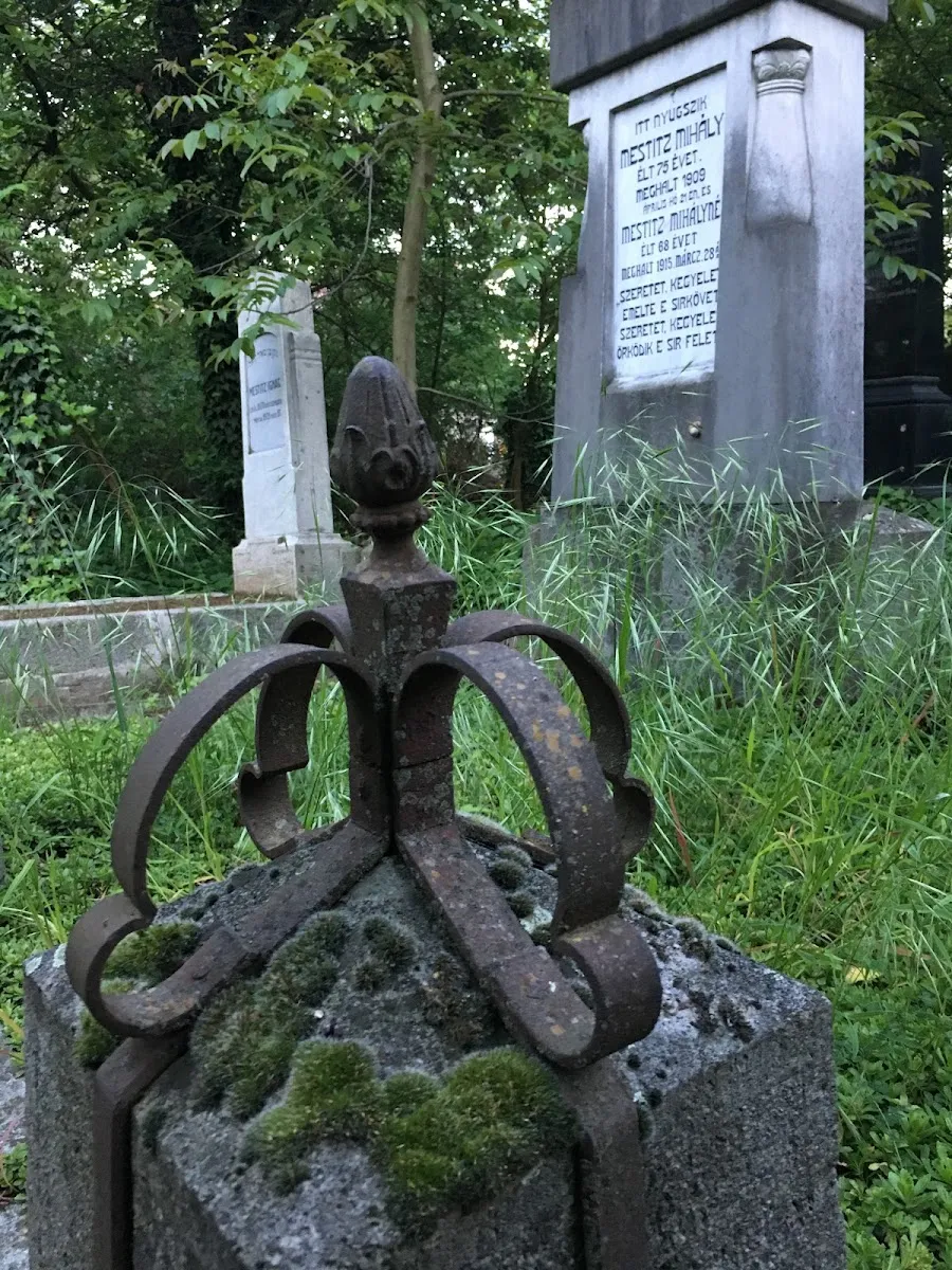 Cementerio judío Status Quo Ante de Târgu Mureș — foto 8