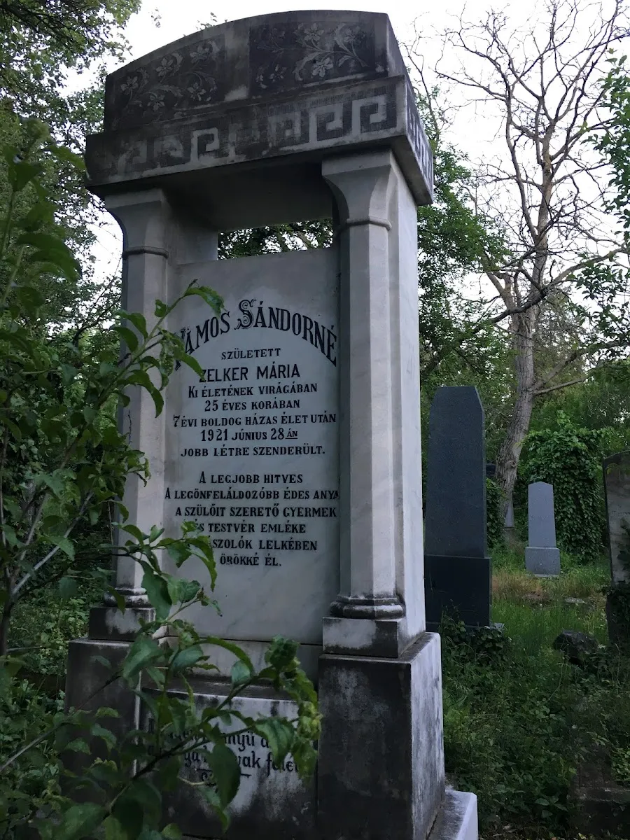Cementerio judío Status Quo Ante de Târgu Mureș — foto 9