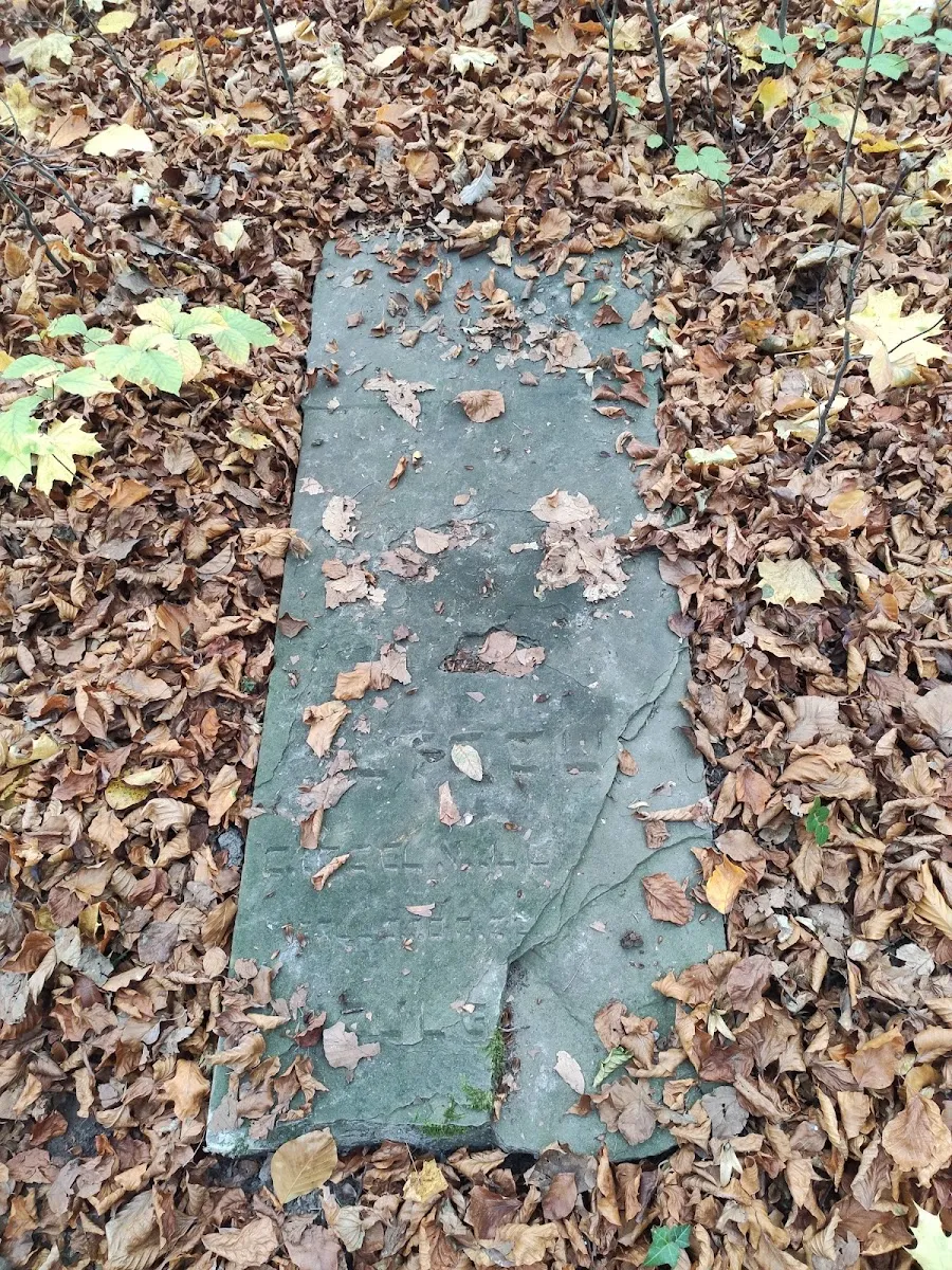 Cementerio judío viejo de Gdańsk — photo 3
