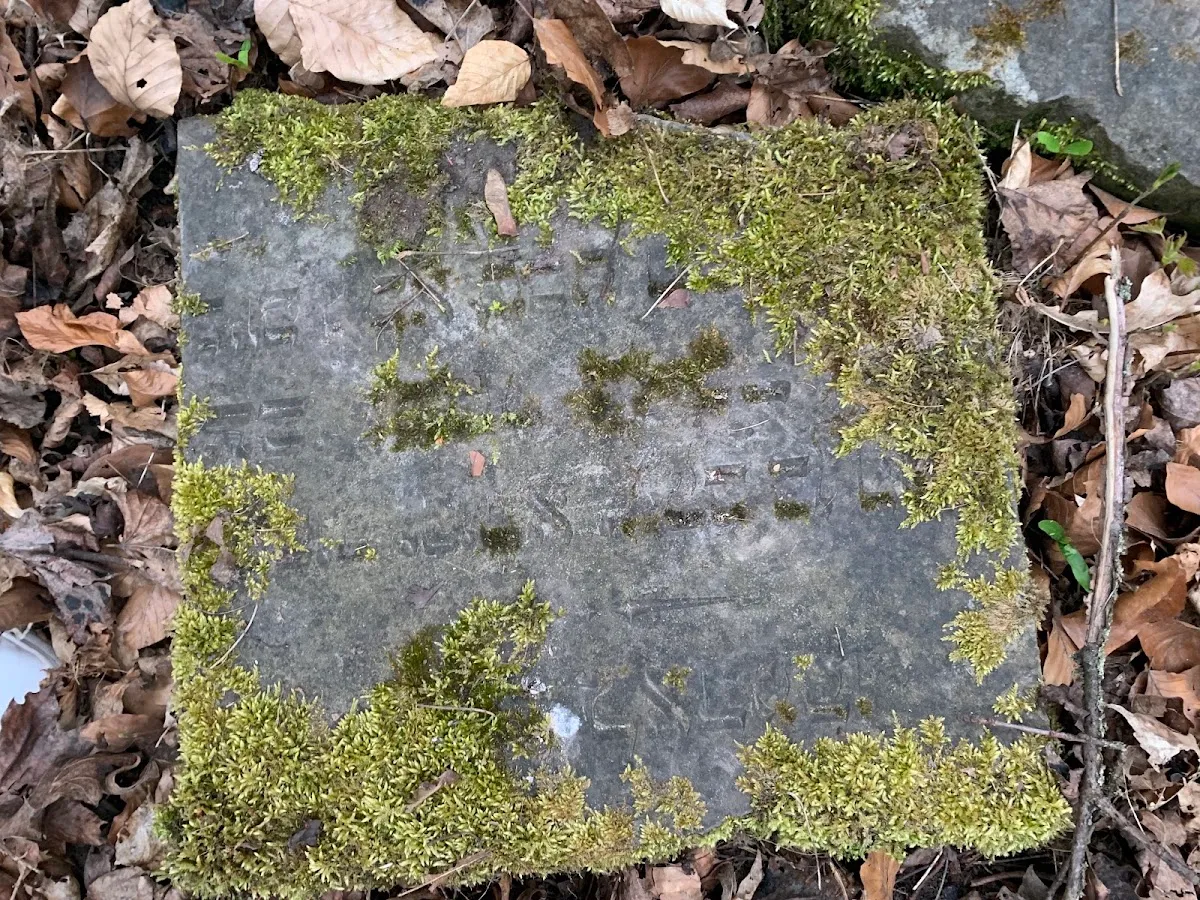 Cementerio judío viejo de Gdańsk — photo 4