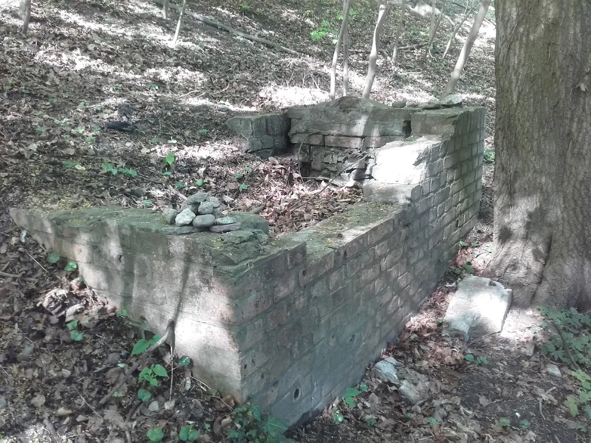 Cementerio judío viejo de Gdańsk — photo 7