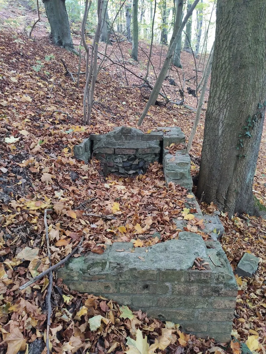 Cementerio judío viejo de Gdańsk — photo 10
