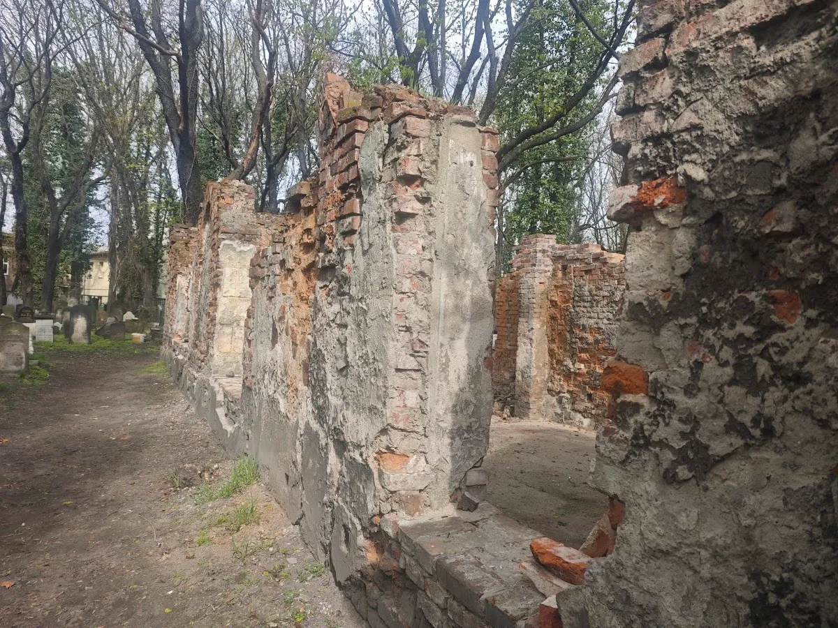 Cementerio judío viejo de Gliwice — photo 4