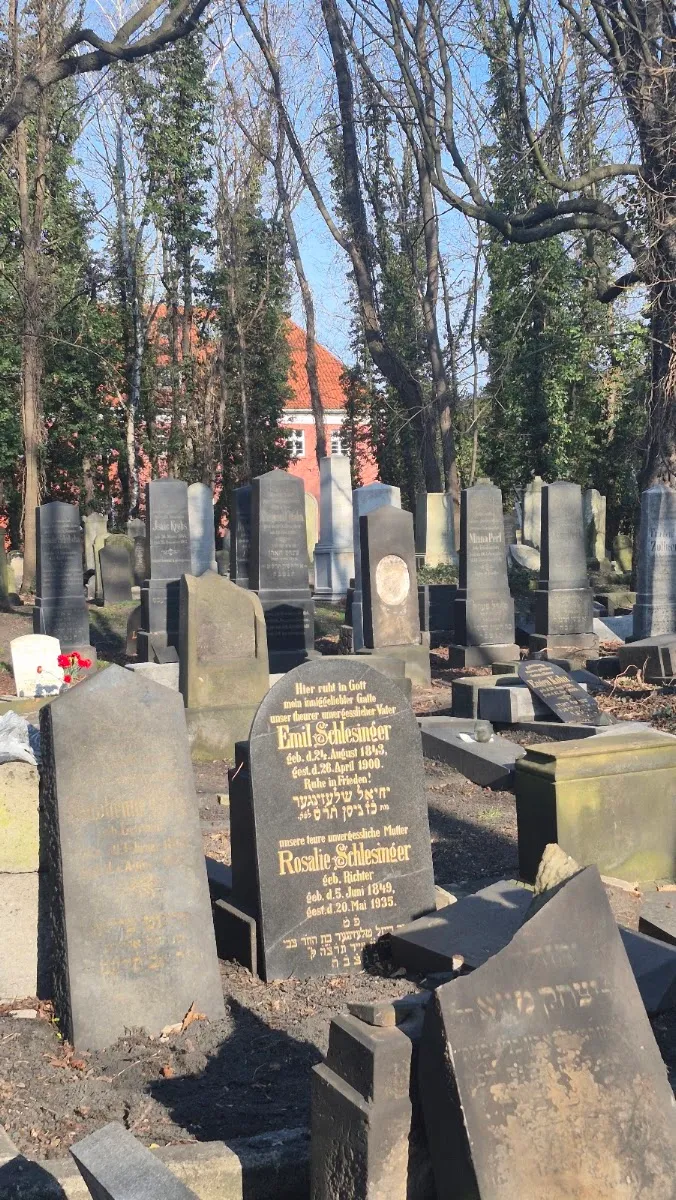 Cementerio judío viejo de Gliwice — photo 8