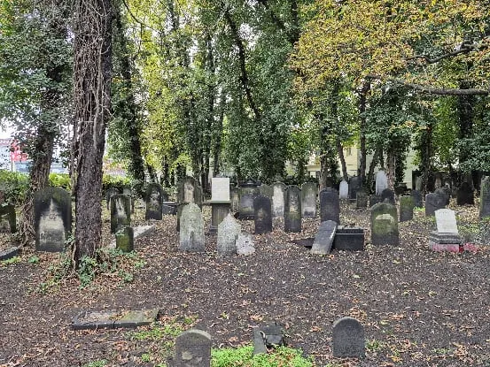 Cementerio judío viejo de Gliwice — photo 9