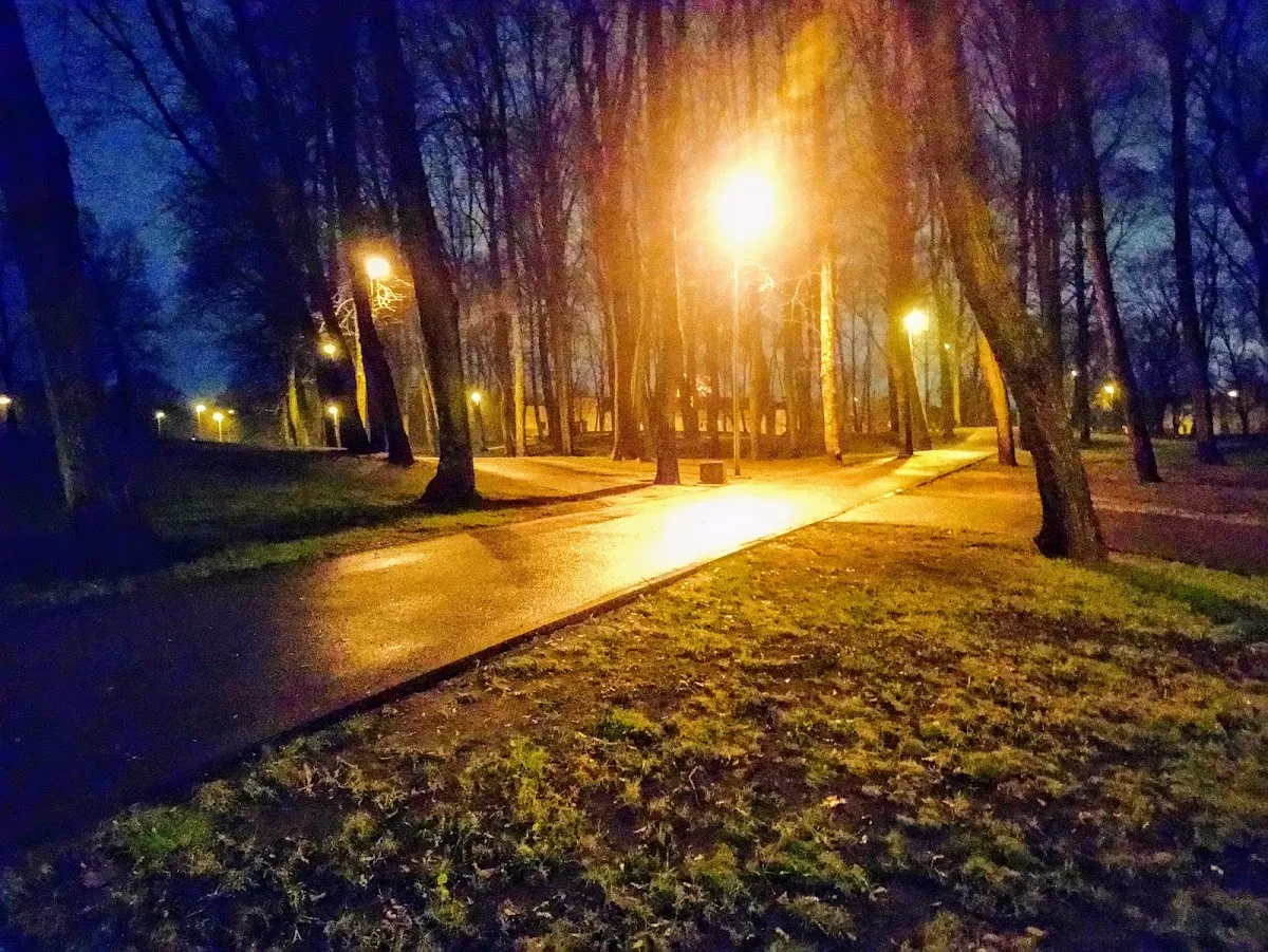 Cementerio Judío Viejo de Riga — foto 10