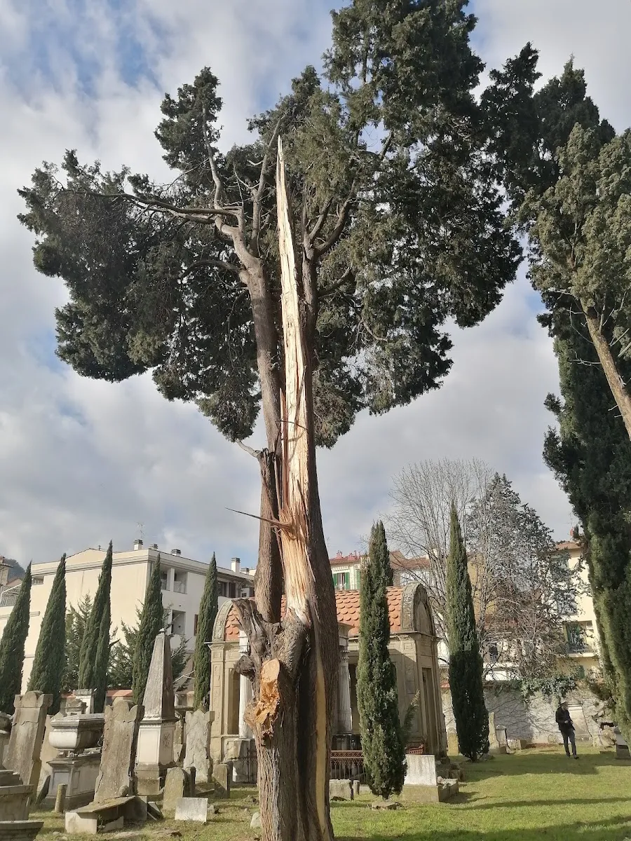 Cementerio Monumental Judío de Florencia — photo 4