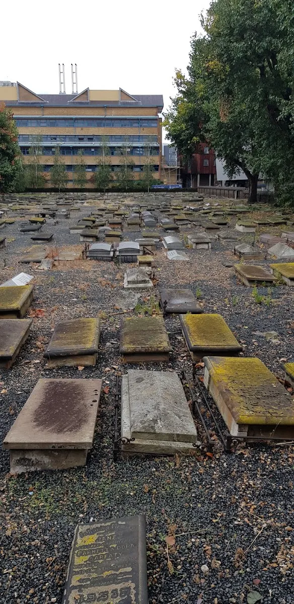 Cementerio Novo de Mile End — photo 3