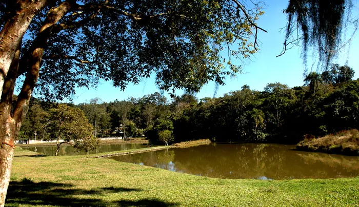 Cemitério Israelita do Embu — foto 3