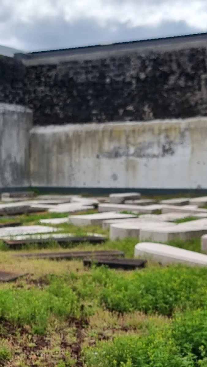 Cemitério Judaico de Ponta Delgada — photo 4