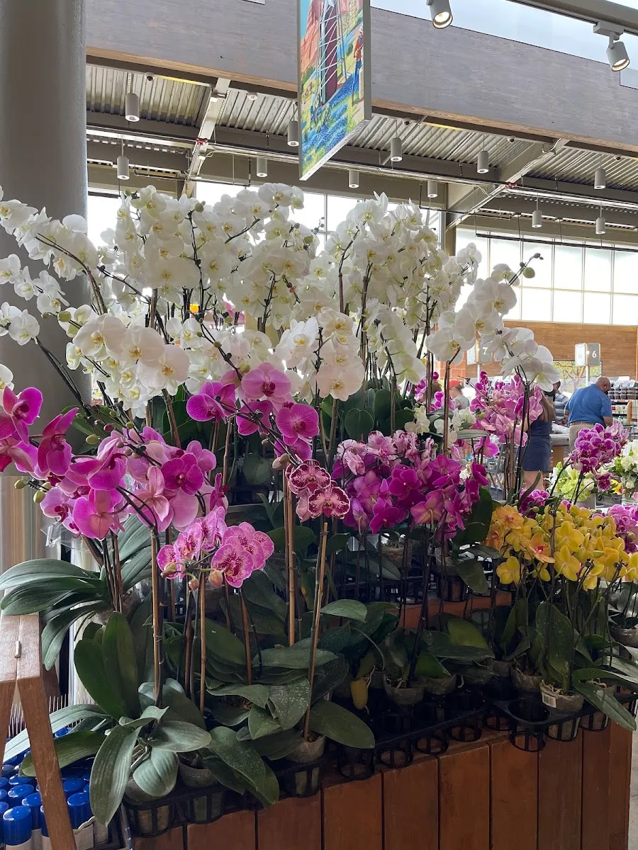 Central Market — foto 6