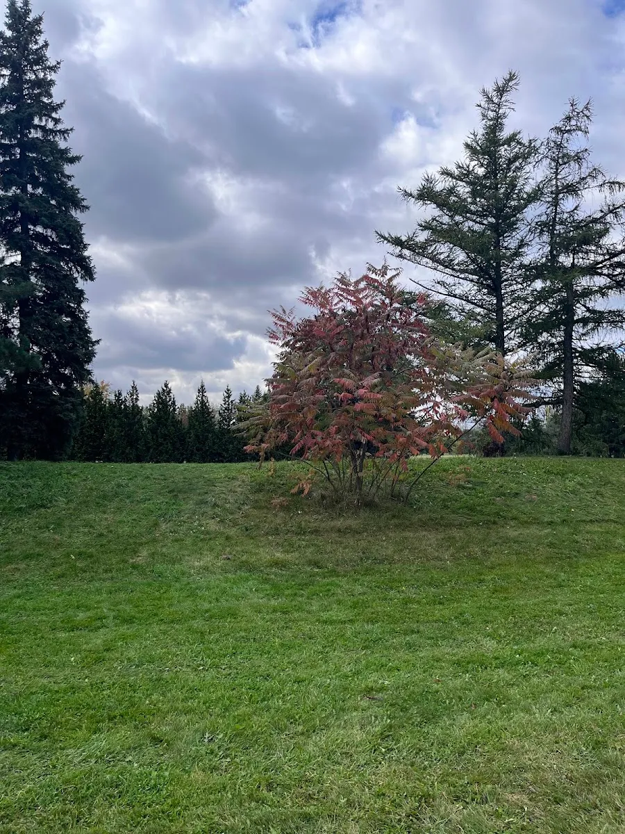 Centre Cummings — foto 5