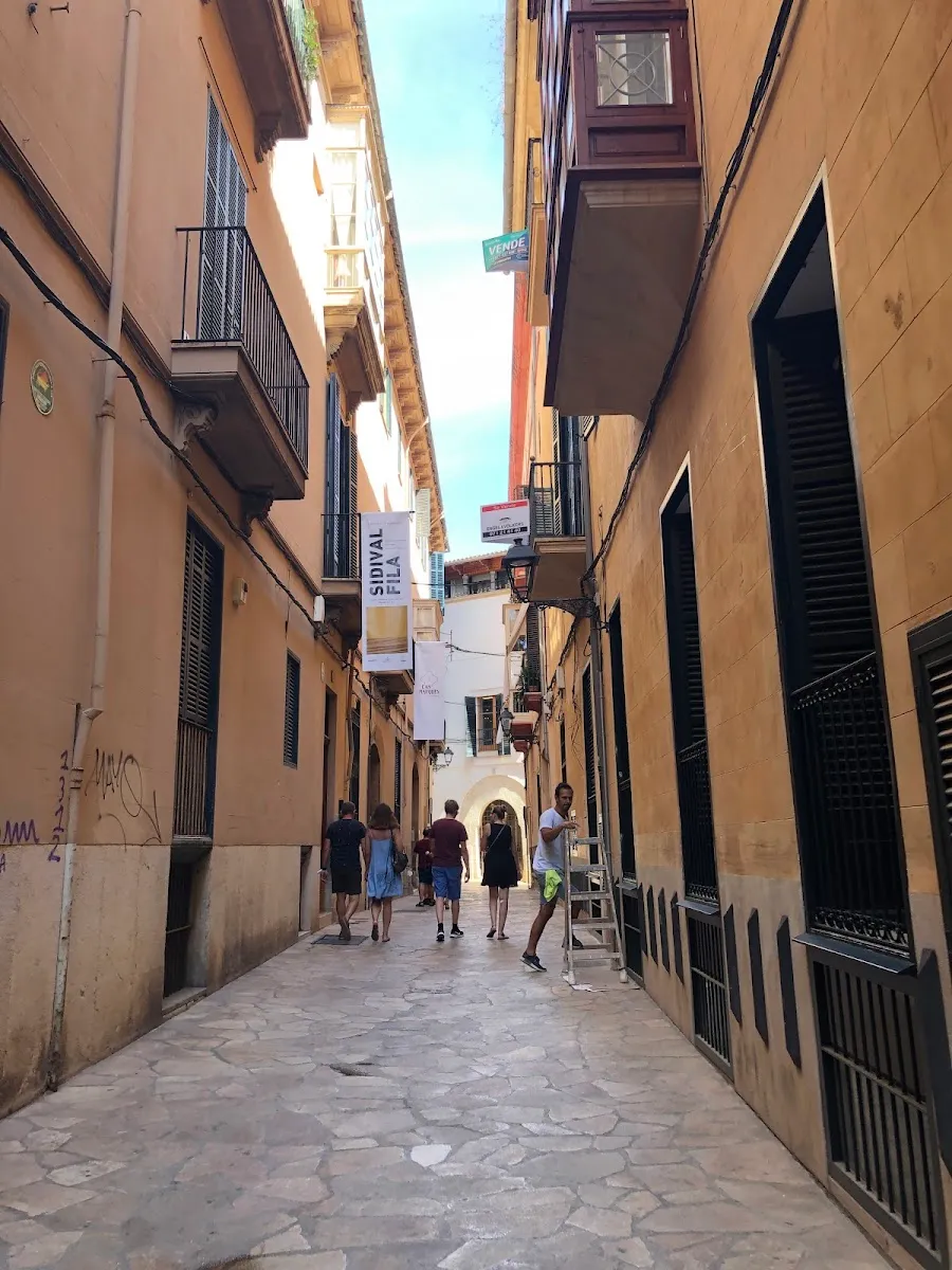 Centre Maimó Ben Faraig — photo 6