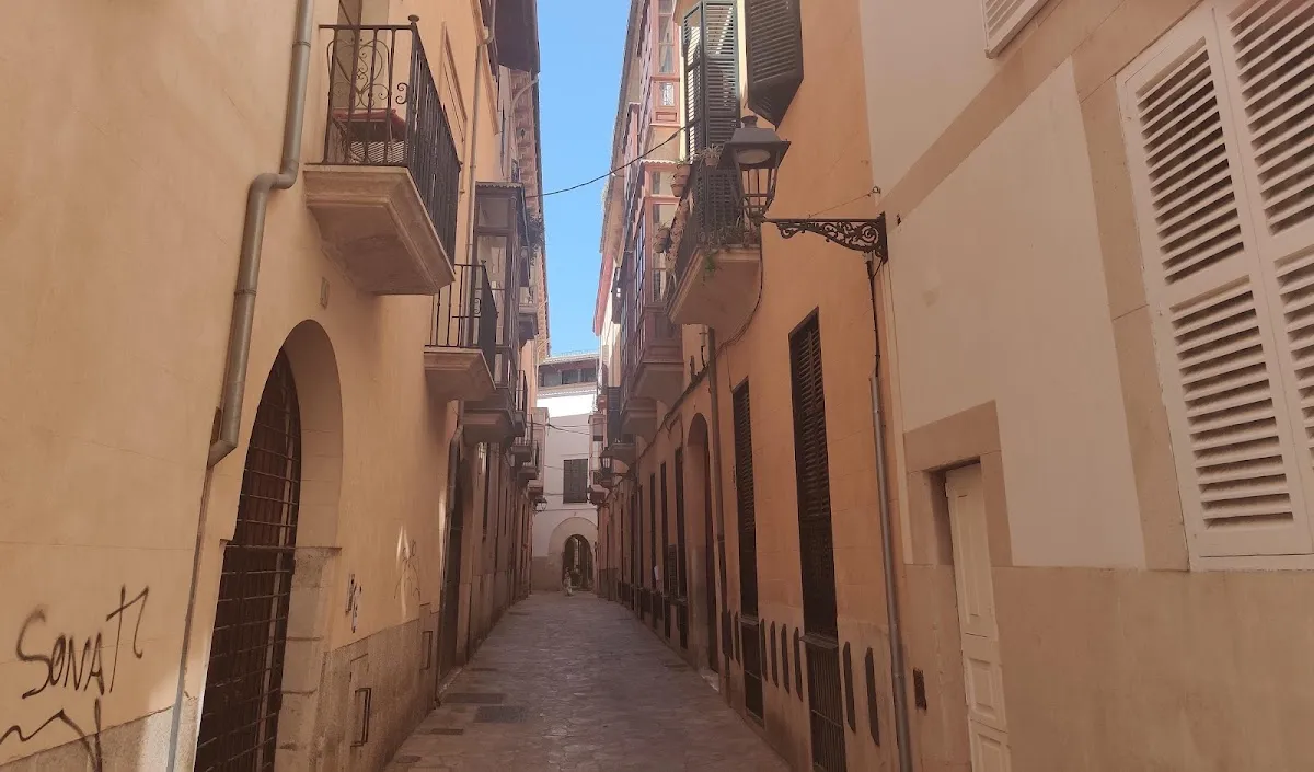 Centre Maimó Ben Faraig — photo 7