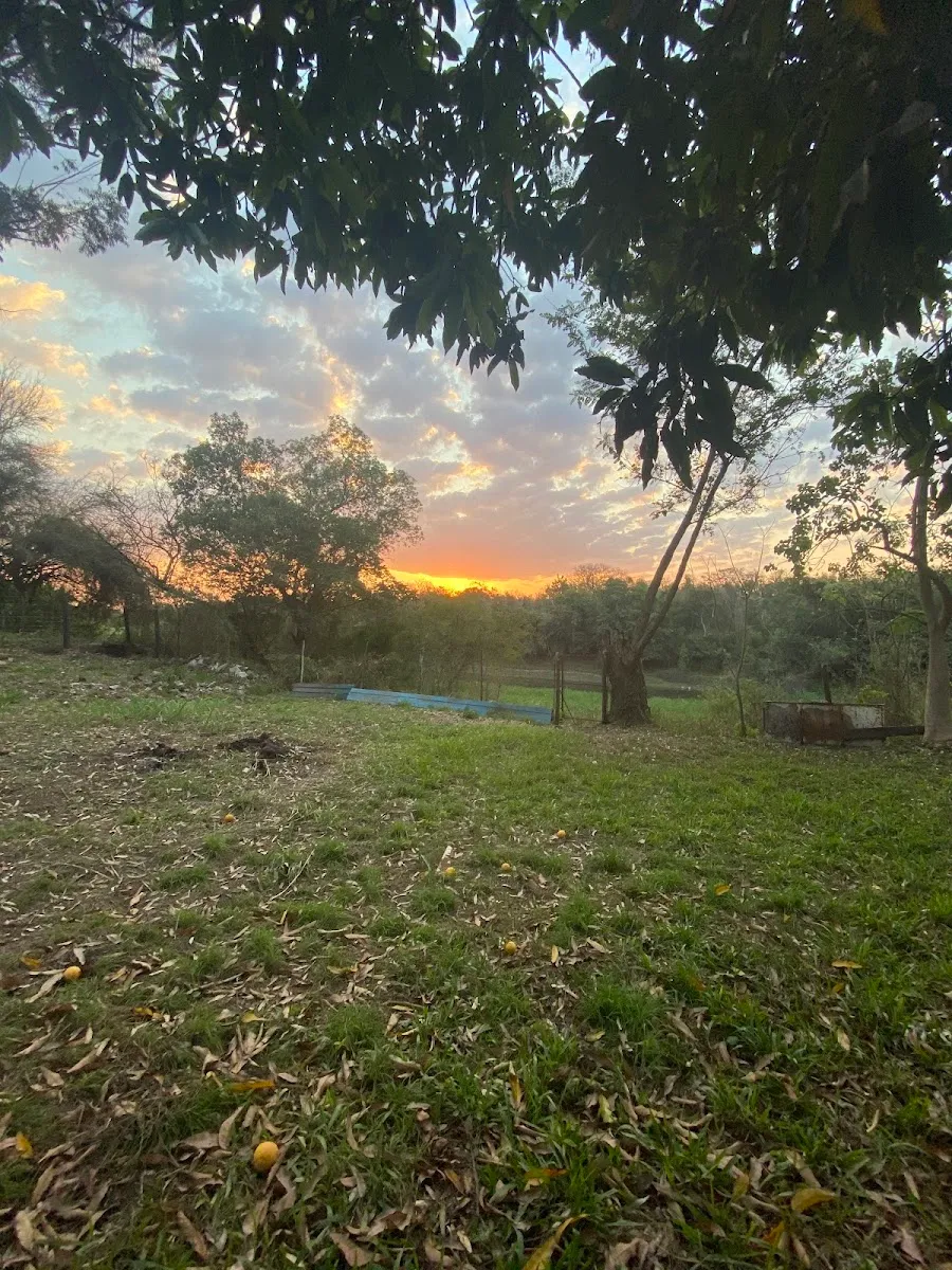 Centro Hebraica Resistencia — foto 4