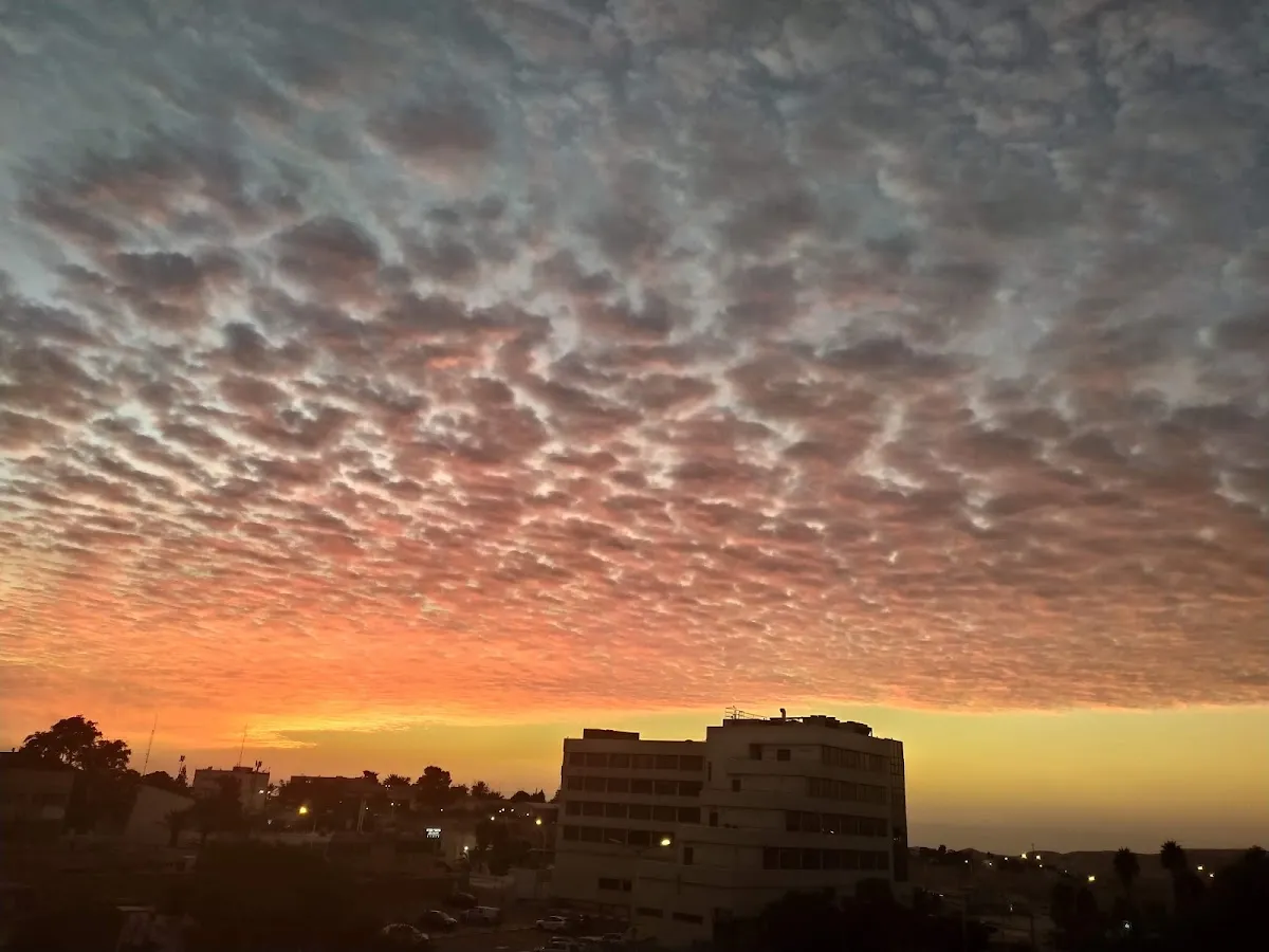 Chabad Arad — foto 3