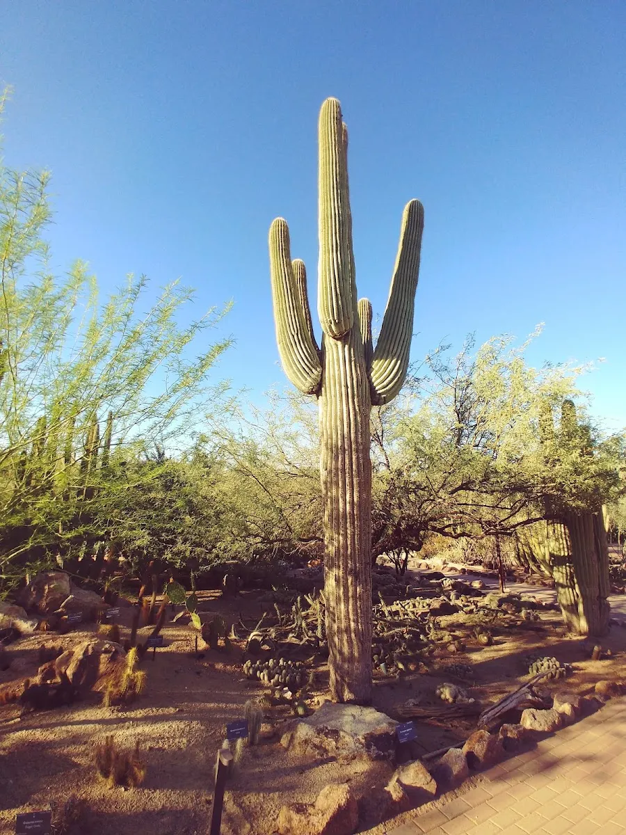Chabad at ASU - Jewish Students, ASU Jewish Life