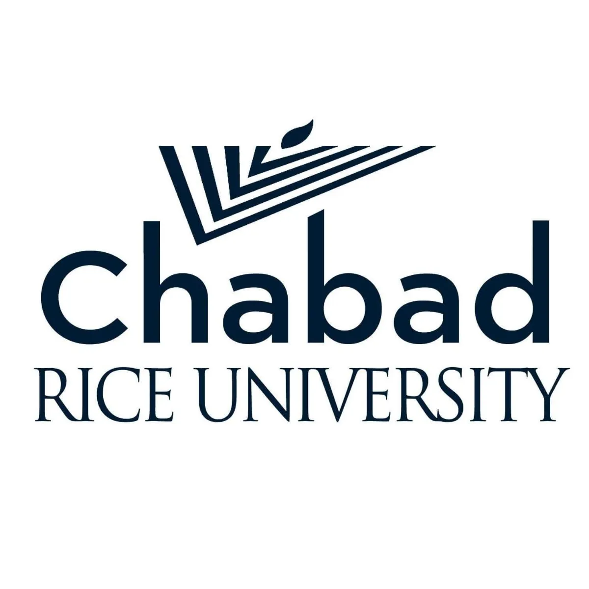 Chabad at Rice University — foto 4