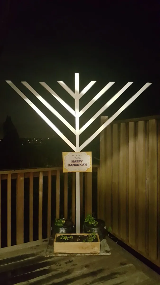 Chabad Auckland New Zealand — foto 6